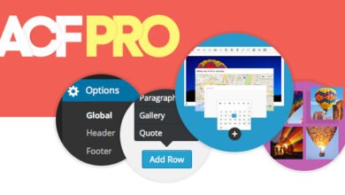 Advanced Custom Fields Pro